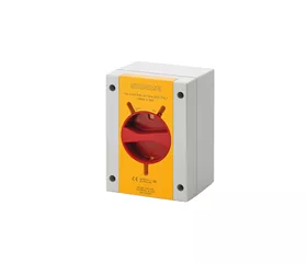 Scame disjonct.déconnexion,2P 20A,690V,110x150x87,jn/rg 2 pôles,  Plastique, 1 pcs